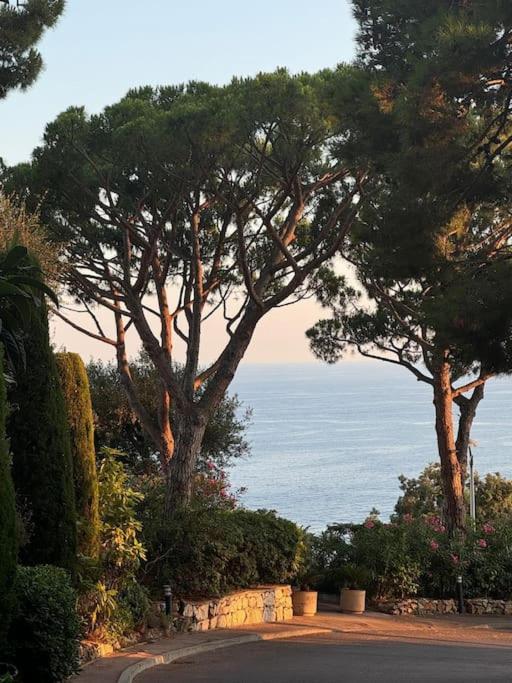 Balcon Sur La Mediterranee Nizza